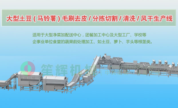 隆安连续式土豆去皮清洗切割风干生产线